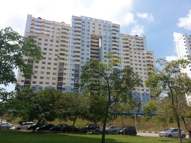Desaminium Rimba 1