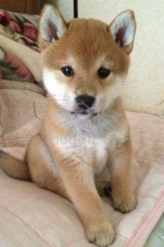 Carousel Image Selected