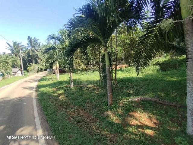 Dusun Freehold Gelang chinchin serta Tiny house cantik 2