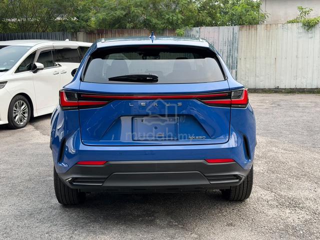 2023 Lexus NX250 2.5 BASE GRADE (A) - 4