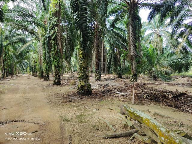 Agricultural Land for Sale, 4.97 Acre(s), Linggi, Negeri Sembilan ...