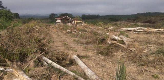 Very rare opportunity open title land with a good price at Titi NS 1