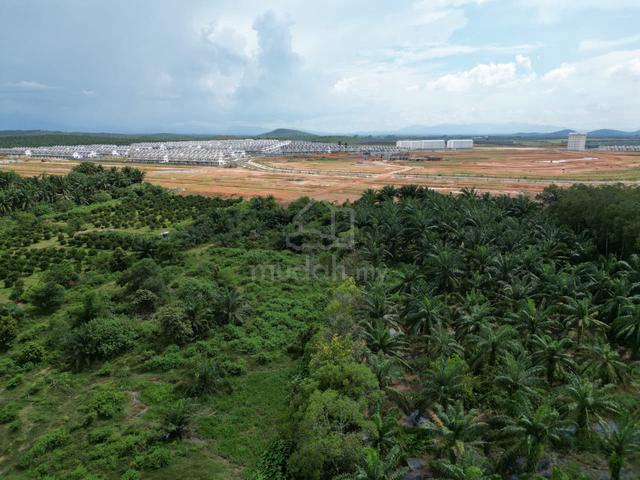 Kuala Ketil Agricultural Land Zoning Residential Develoment For Sale 5