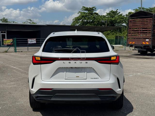 2023 Lexus NX 250 2.5 VERSION L SROF 4CAM 38K KM - 4