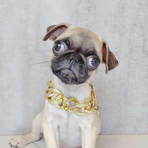 Carousel Image Selected