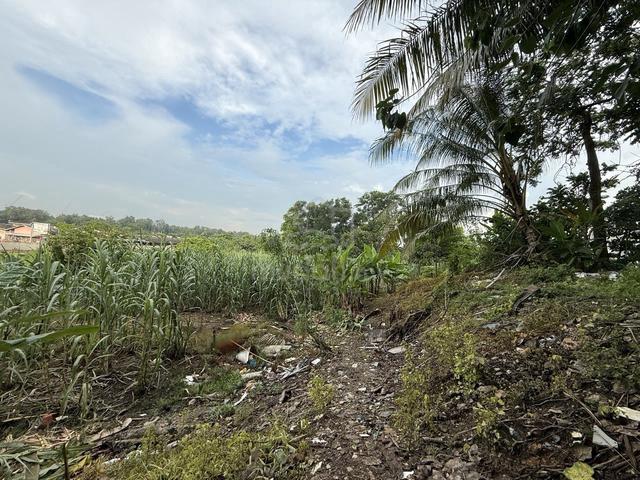 Taman Perling Agricultural land near Perling mall 1