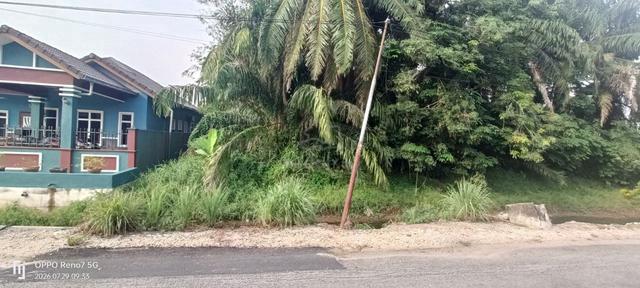 Tanah Setengah Ekar Tepi Jalan Di Bukit Kapar 1