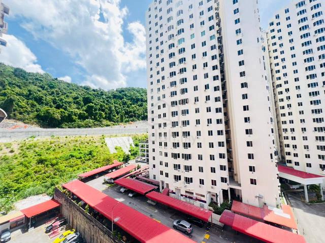 Greenlane Heights 1