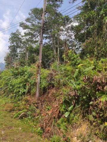 Hilly land with long frontage 1