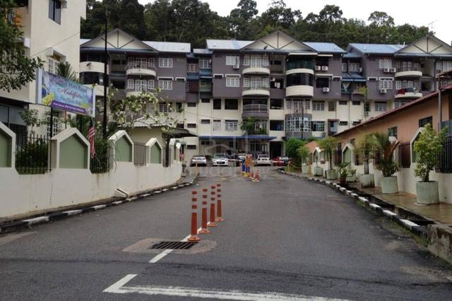 Mutiara Perdana (Sungai Ara) 1