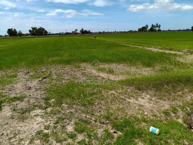 Kedah Yan Freehold Land For Sale 1