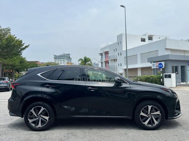 2021 Lexus NX300 Spice & Chic Premium 2.0 (JAPAN) - 5