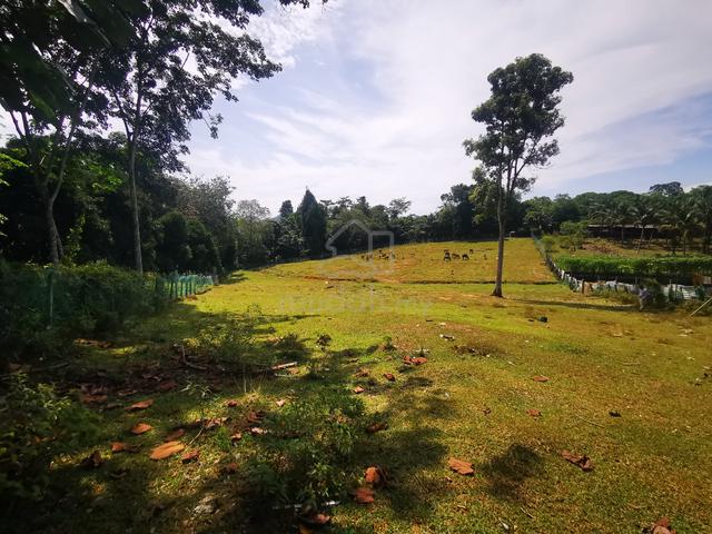 [Freehold] Tanah 3.5 ekar di Gadong Labu Seremban m 1