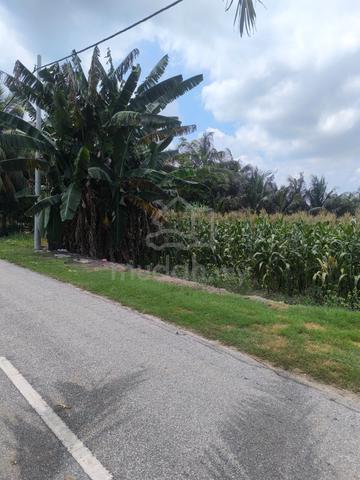 TANAH UNTUK DI JUAL TALI AIR 1 BAN 4 Tg Karang, Selangor 1
