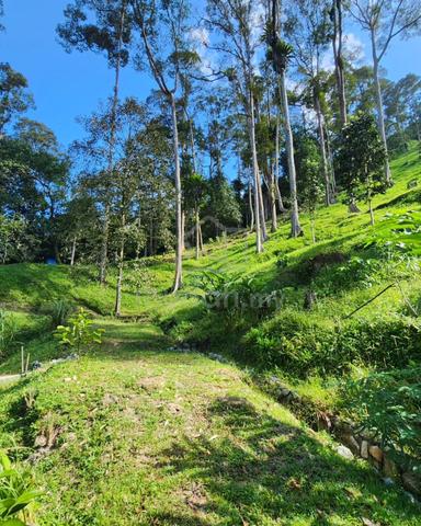 3 EKAR Kebun Buah di Hulu Langat, Selangor 2