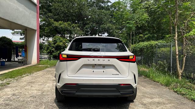 S/Roof Dim 2023 Lexus NX250 2.5 VERSION L Hud Bsm - 4