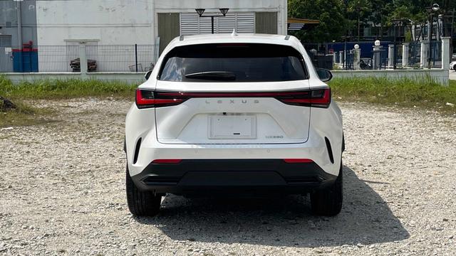 2023 Lexus NX250 2.5 LUXURY (A) 26K KM - 4
