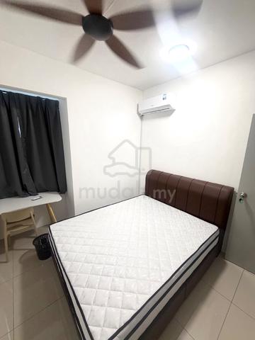 No Agent Fee Room for rent The Stone Paya Terubong included Utility 1