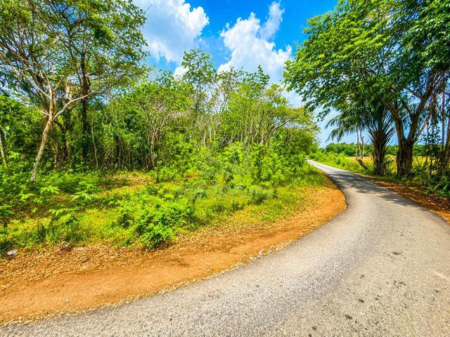 Pendang Kampung bukit Jambu Agticultural Land Tanah Ade Reserved Jalan 1