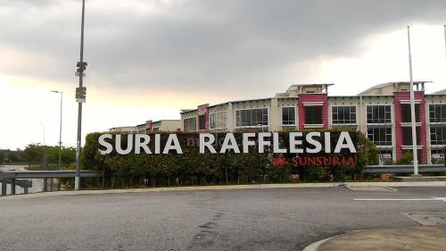Suria Rafflesia 1