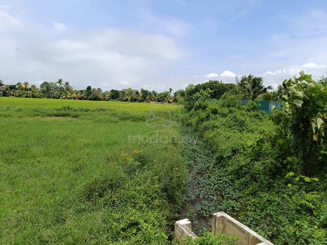 DIRECT ROAD ACCESS Freehold Non Bumi Lot Agriculture Land Padang Serai 1