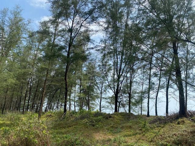 Rare Freehold Coastal Land Opportunity - 1 acre land beach fronting 1