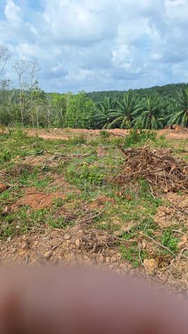 Tanah dah siap clearing di Kerdau utk dijual - freehold,open title 4