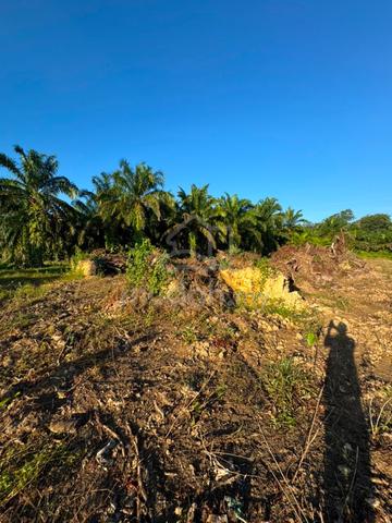 Tanah Lot Banglo Geran Individu Kg. Pinang Baru, Dungun 1