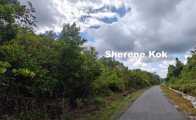 Agricultural Land FAC Matang Lebuhraya Pehin Sri Adenan Satem 1