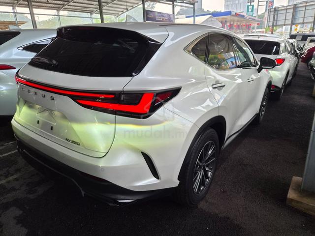 2023 Lexus NX250 2.5 BASE 4LED 360 ls blk 18 2es - 3