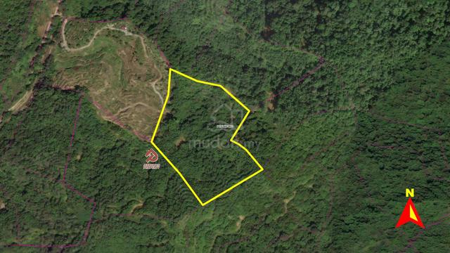 13.46 Acres NT Land Agricultural Use @Kg Timpangoh Sugud Penampang 1