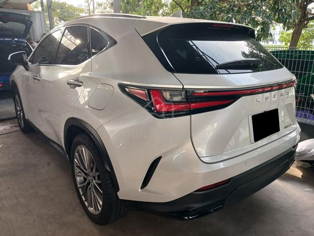2023 2024 Lexus NX250 2.5 (A) LUXURY FSPT WRTY2029 - 2