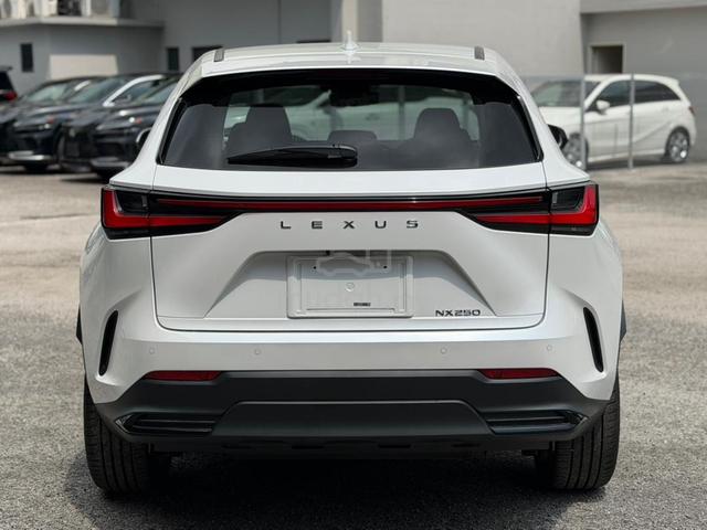 2023 Lexus NX250 LUXURY 2.5 (A) - 4