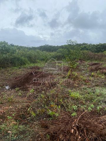 [Mersing] Tanah Pertanian Kg Gajah Mati |3 Ekar| Tanah Kurnia | 1