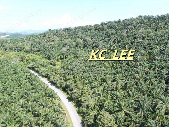 121.8 Relung Main Road Agricultural Land @ Tawar,Baling Kedah 1