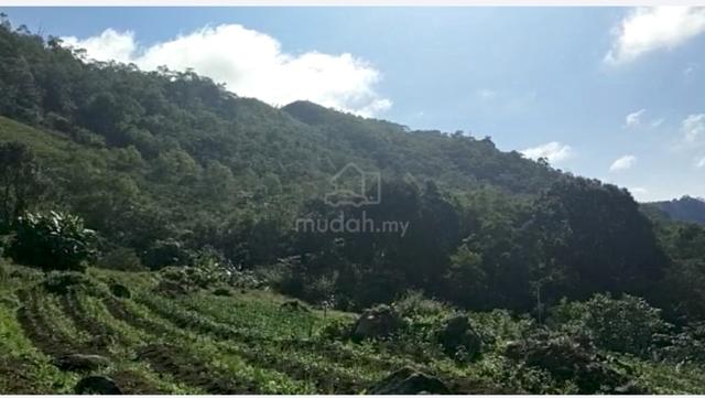 CL Mesilau Kundasang Land for Sale 3