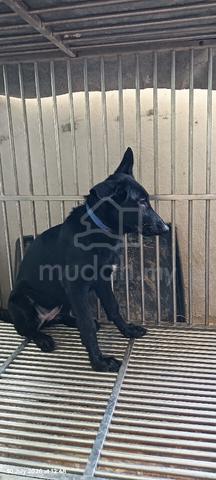 Carousel Image