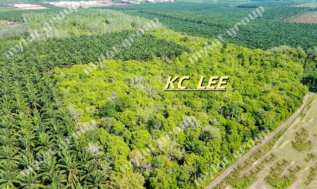 15.64 Acres Agricultural Land For Sale @ Pendang , Ayer Puteh Kedah 1