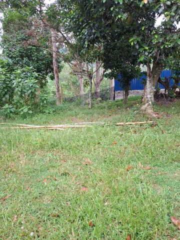 Tanah Untuk Dijual - Geran Kongsi 1
