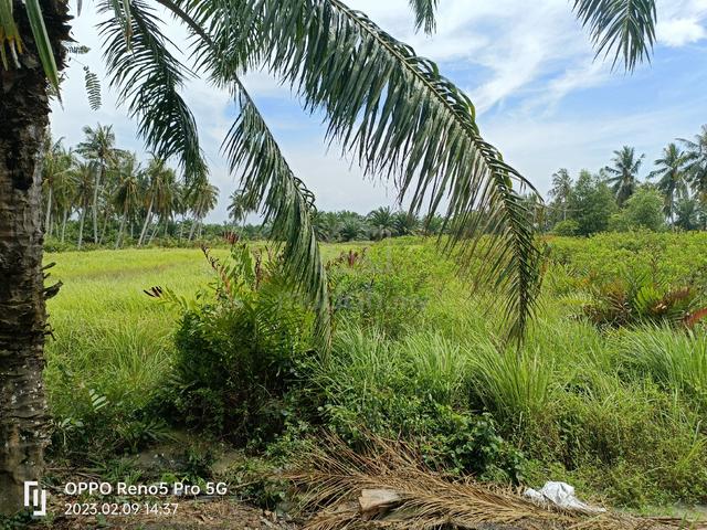 Mukim Api-api Land, Kuala Selangor 1