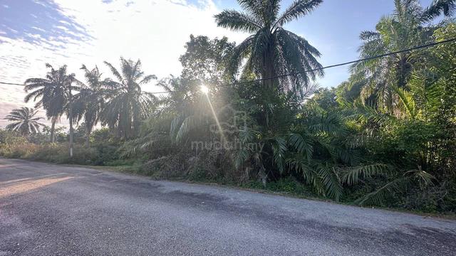Tanah 1.02ekar Nusa Dusun Kuala Linggi Baru Untuk Dijual 1