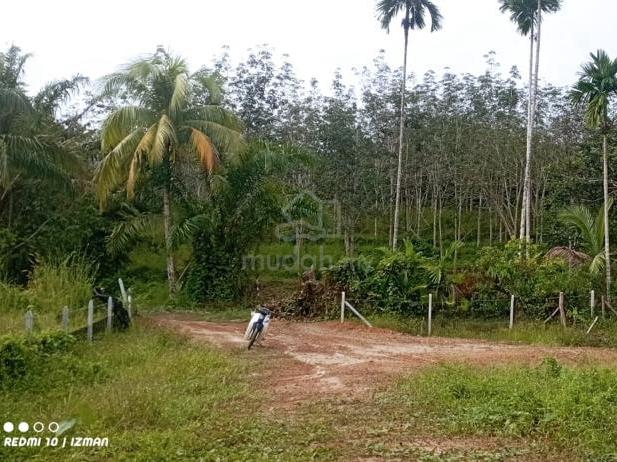 Tanah Tapak Rumah Di Jeneri Sik 4