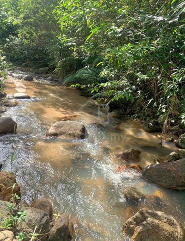 Perak Gerik Freehold Land For Sale 1