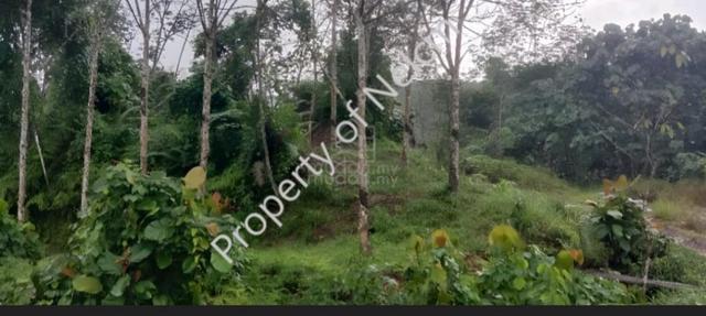 Penampang Land - CL 1