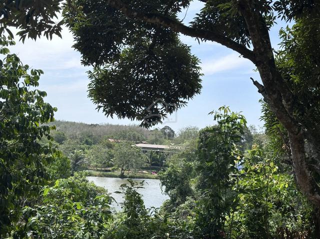 Last piece Freehold Oil palm land for sale @ kesang 1