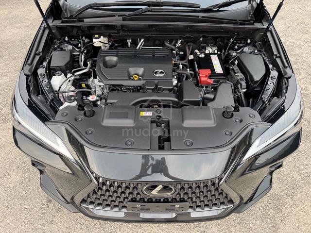 2024 Lexus NX250 2.5 STANDARD (A)S/ROOF,HUD,14”DIS - 4