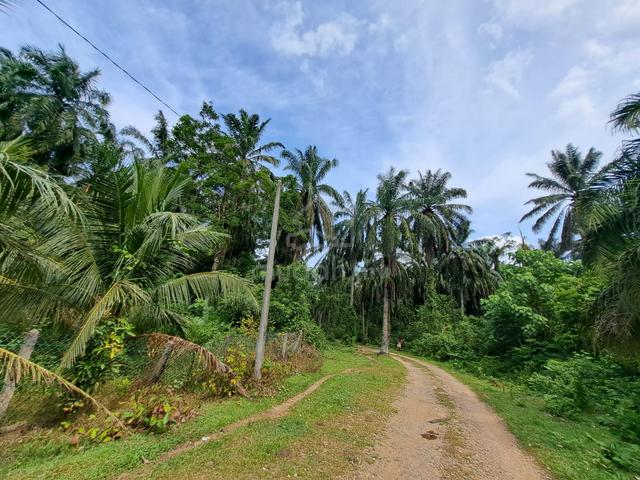 Kertih Paka Land for Sale 1