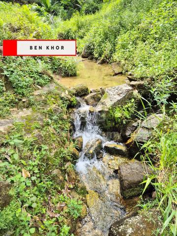 9.18 Acres | Clean Water Source| Old Durian Farm | Taiping | PERAK 1