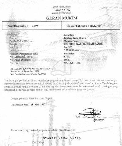 Tanah untuk dijual lot 325 1