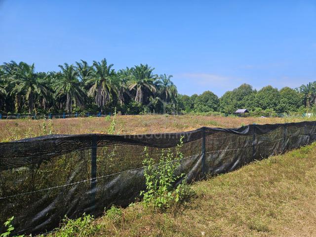 Perak Gopeng Agricultural Freehold Land For Sale 1